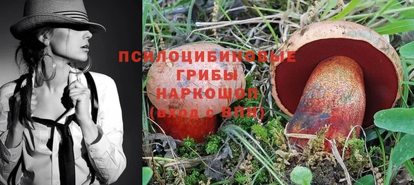 2c-b Верея