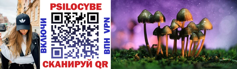 Псилоцибиновые грибы Psilocybe  цены наркотик  Няндома 